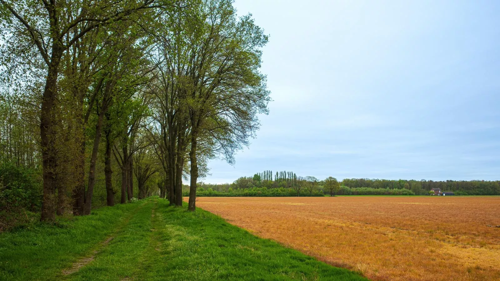 Het Edelhert-Areas summer 5km