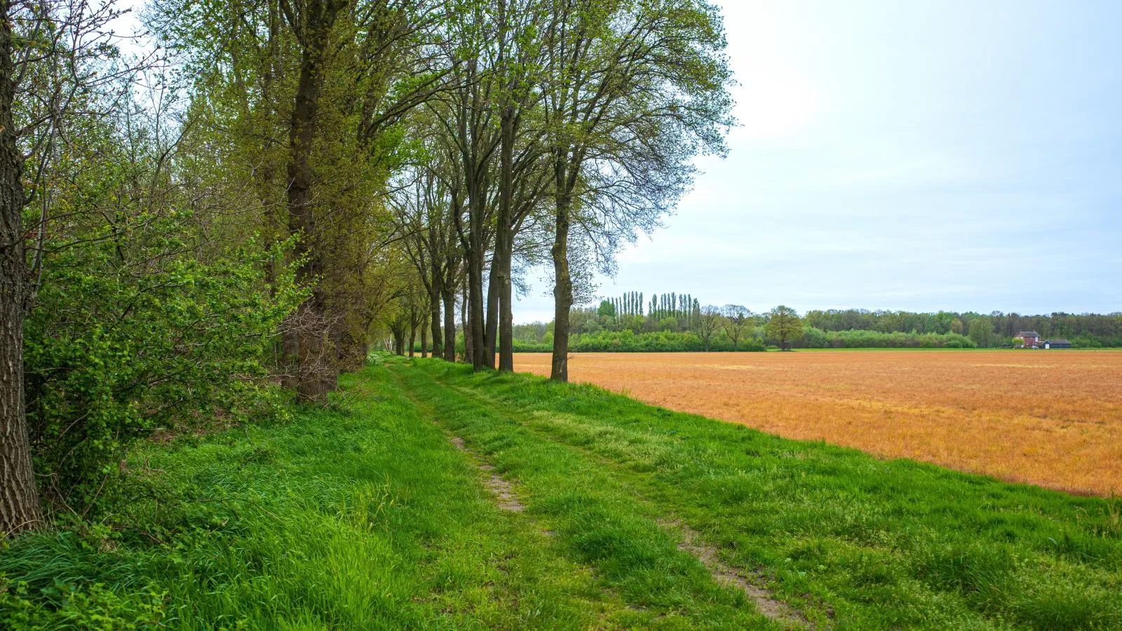 Het Edelhert-Areas summer 5km