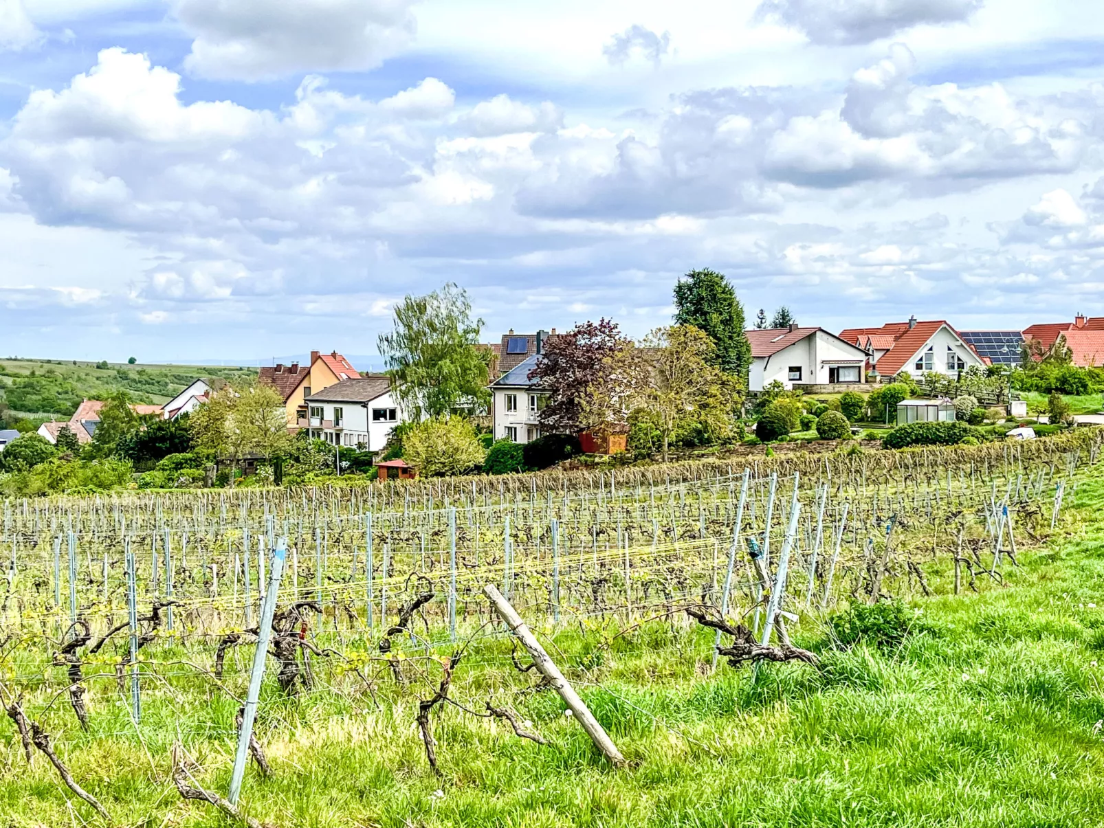 Am Weinberg-Outside