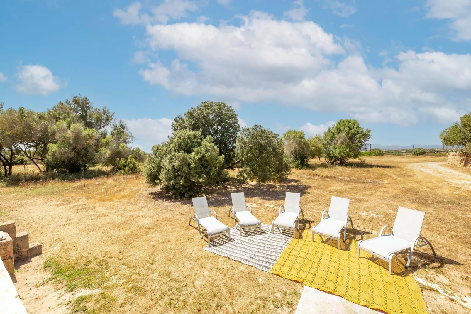 Gallinero-View summer