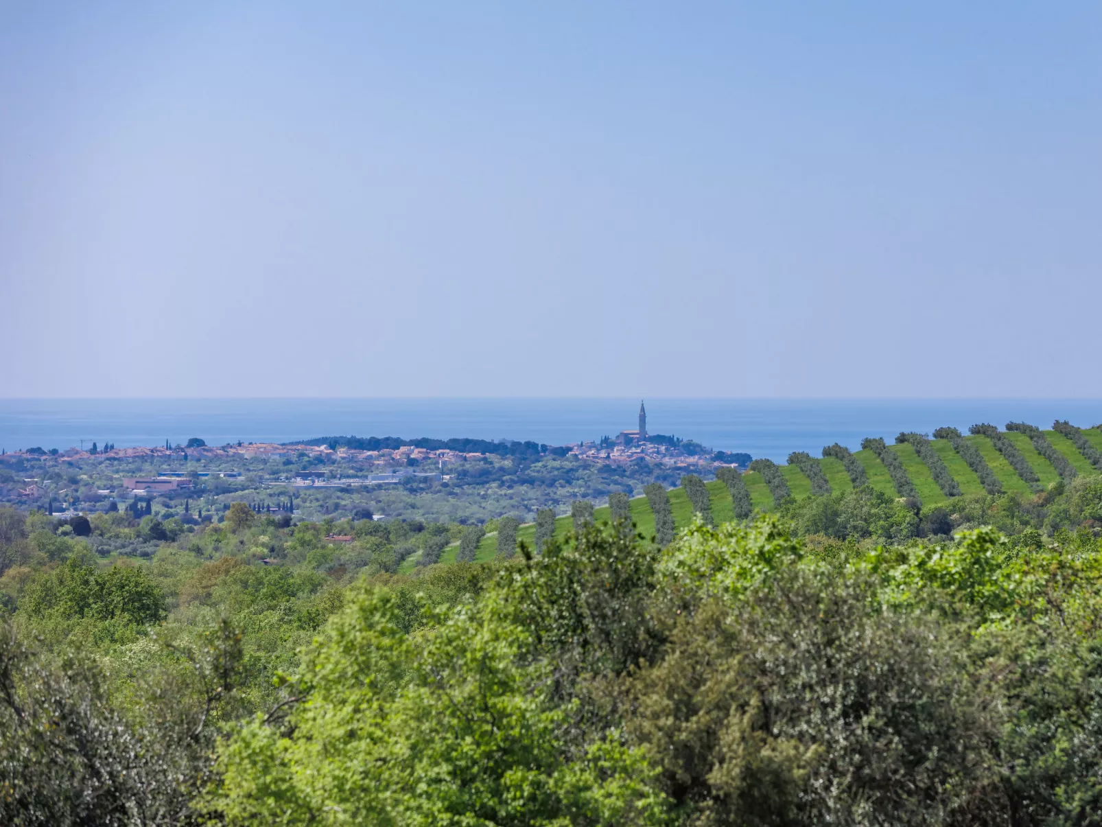 Villa Selagodi-Outside