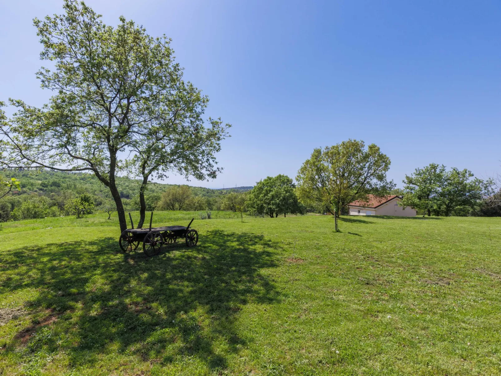 Villa Selagodi-Outside
