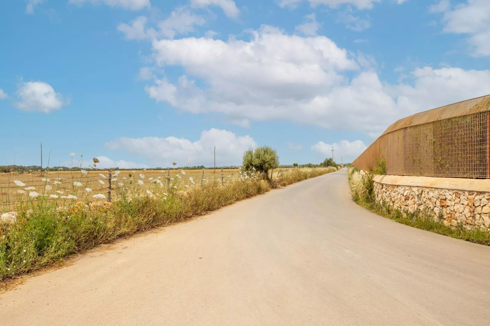 Gallinero-Areas summer 1km