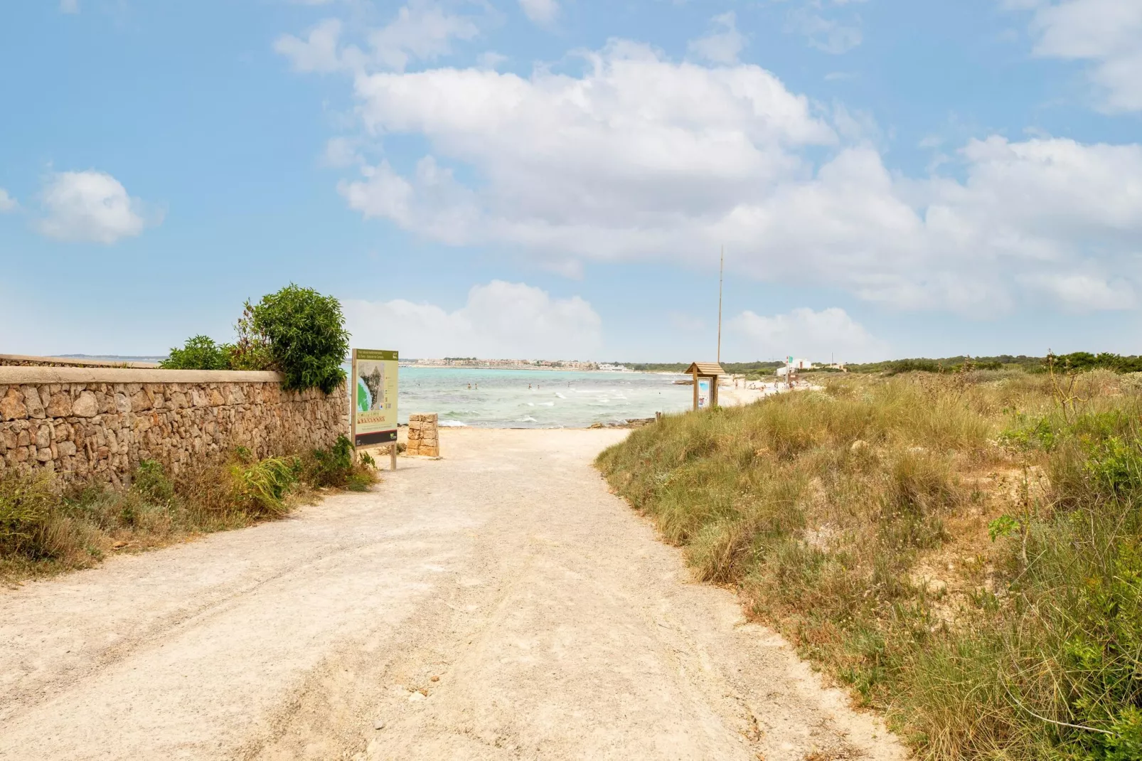 Gallinero-Areas summer 1km