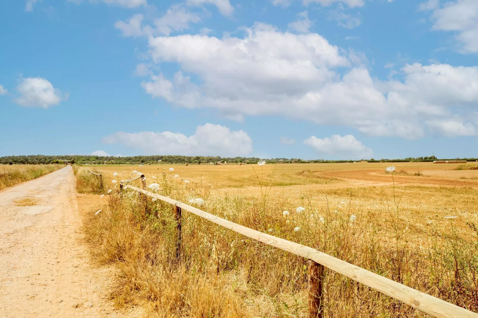 Gallinero-Areas summer 5km