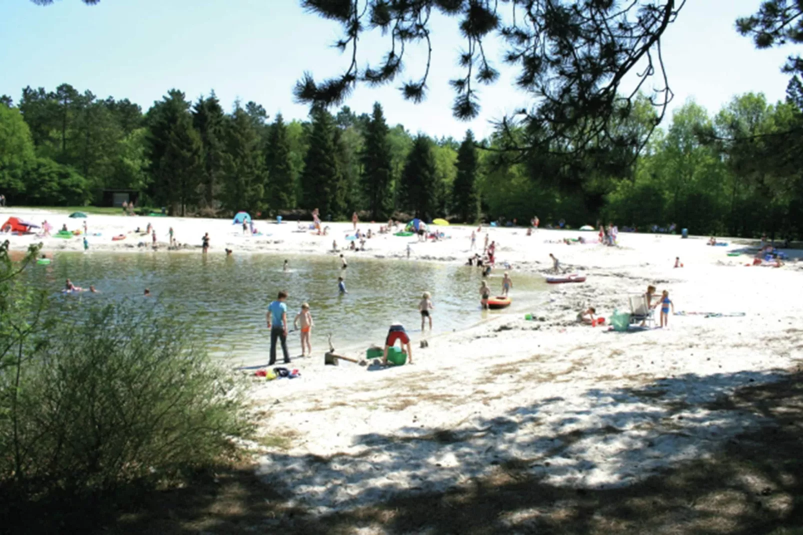 Resort Reestervallei 4-Park facilities