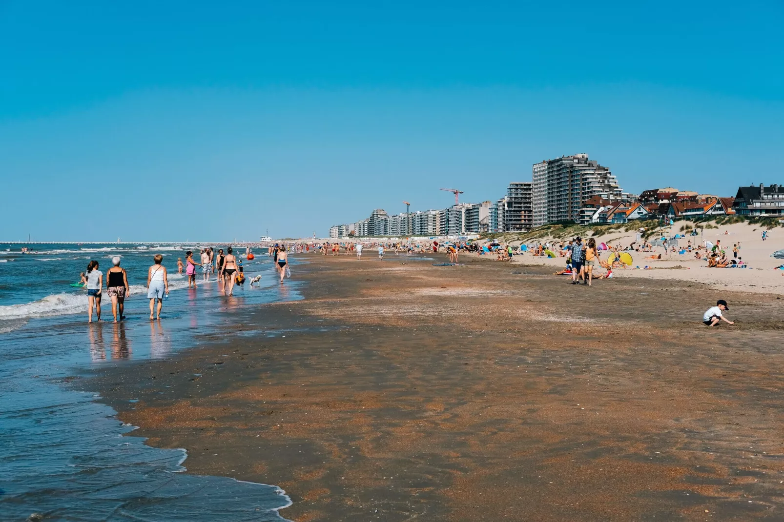 W4-Areas summer 20km