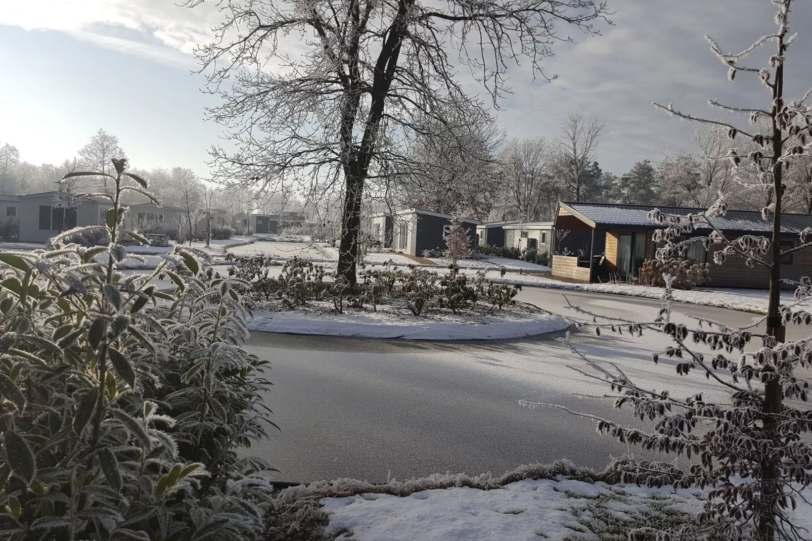 Resort Reestervallei 4-Area winter 1km