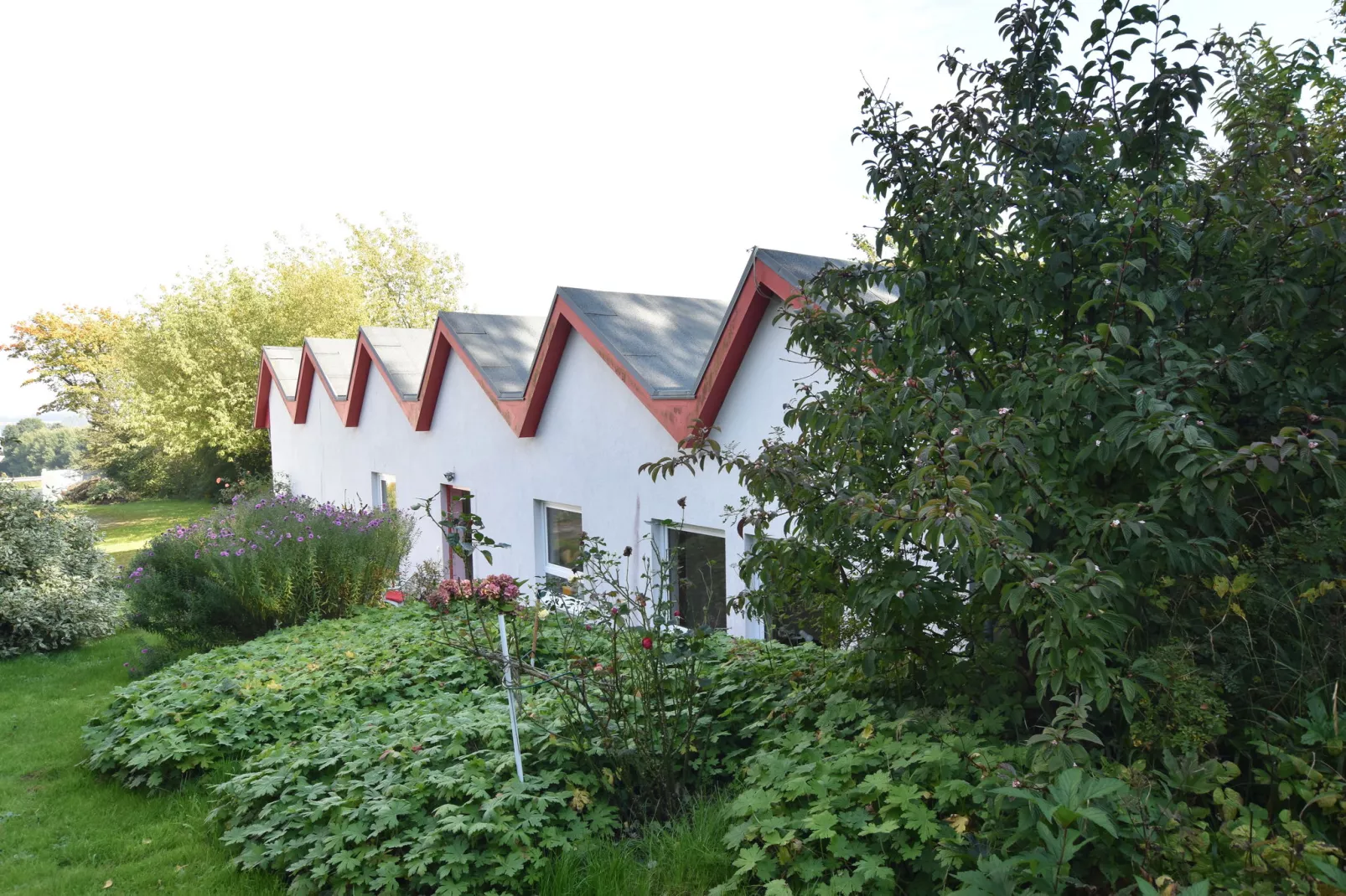 Ostseeblick Kühlungsborn mit Terrasse und Garten-Gärten Sommer