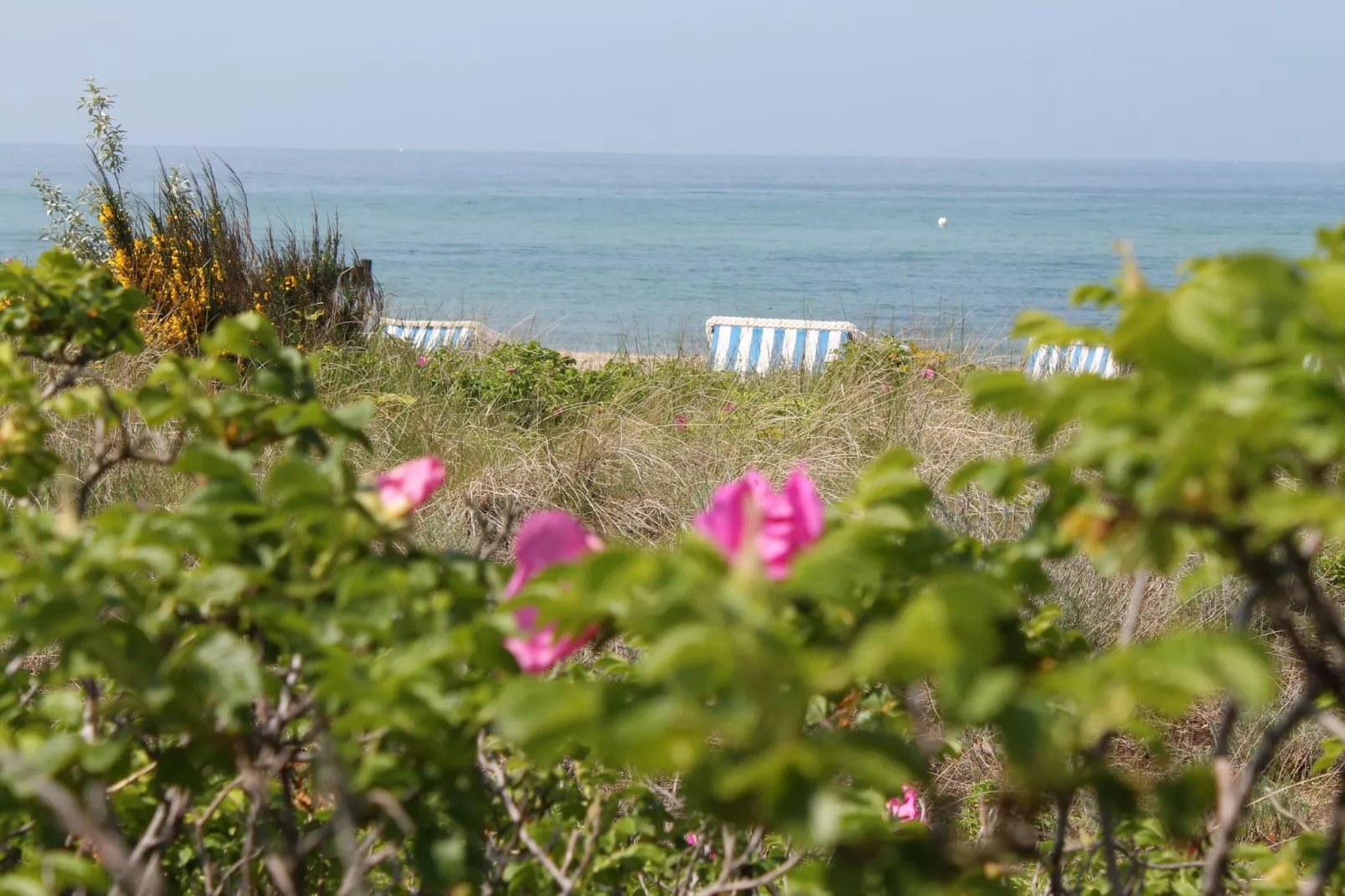 Ostseeblick Kühlungsborn mit Terrasse und Garten-Gebiete Sommer 20 km