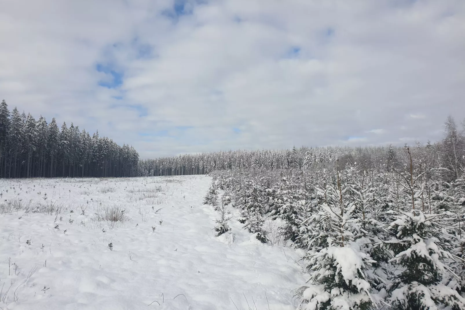 Chez Zélie-Area winter 20km
