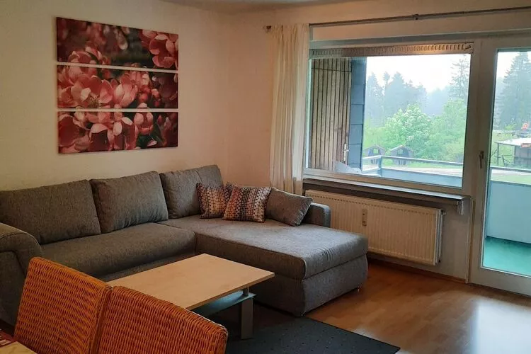 Fewo an der Seilbahn-Living room