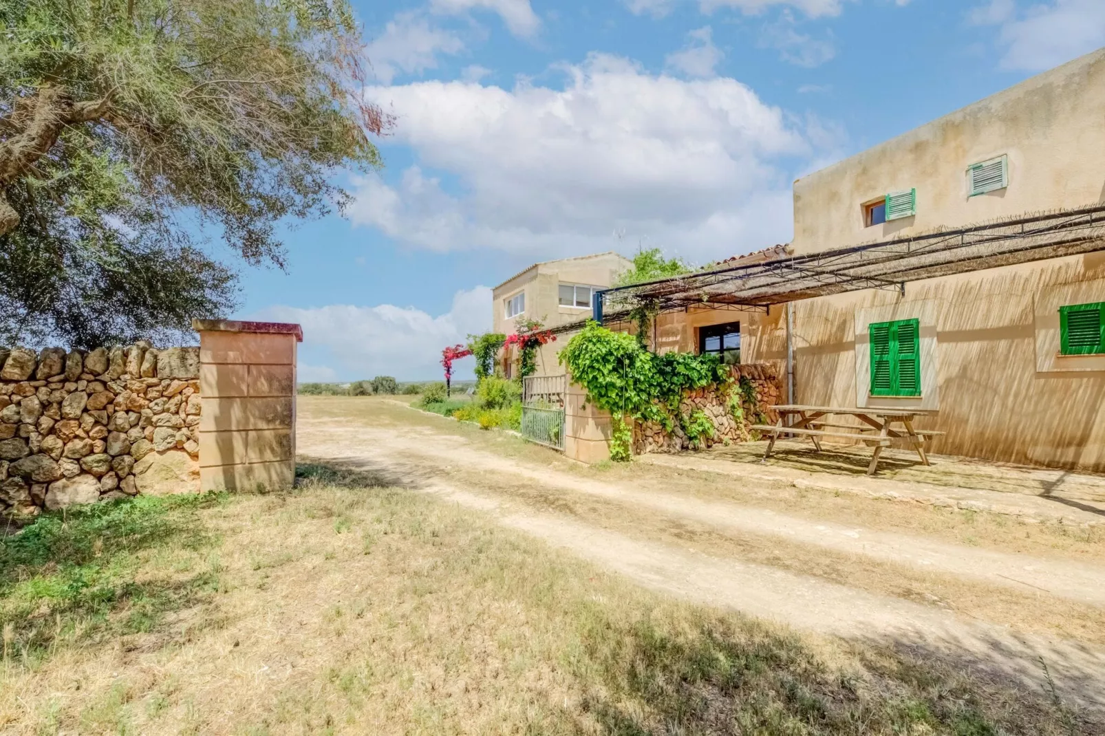 Casa del Pagès-Exterior summer