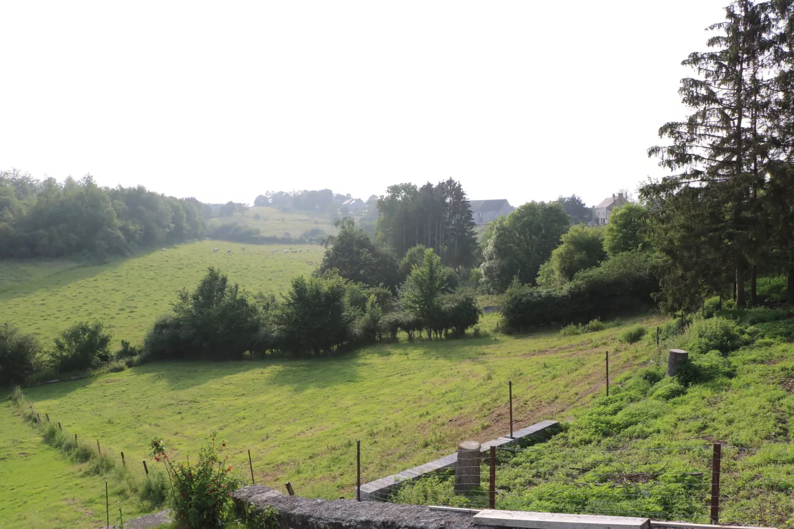 Le Gîte Mariette-View summer