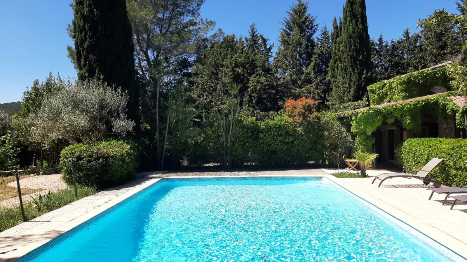 Butterfly-Pool