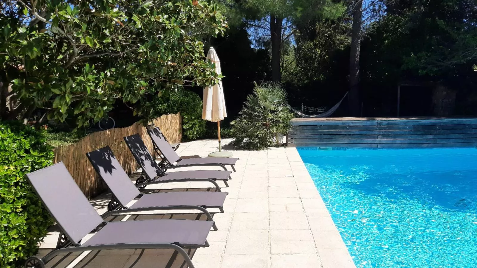 Butterfly-Pool