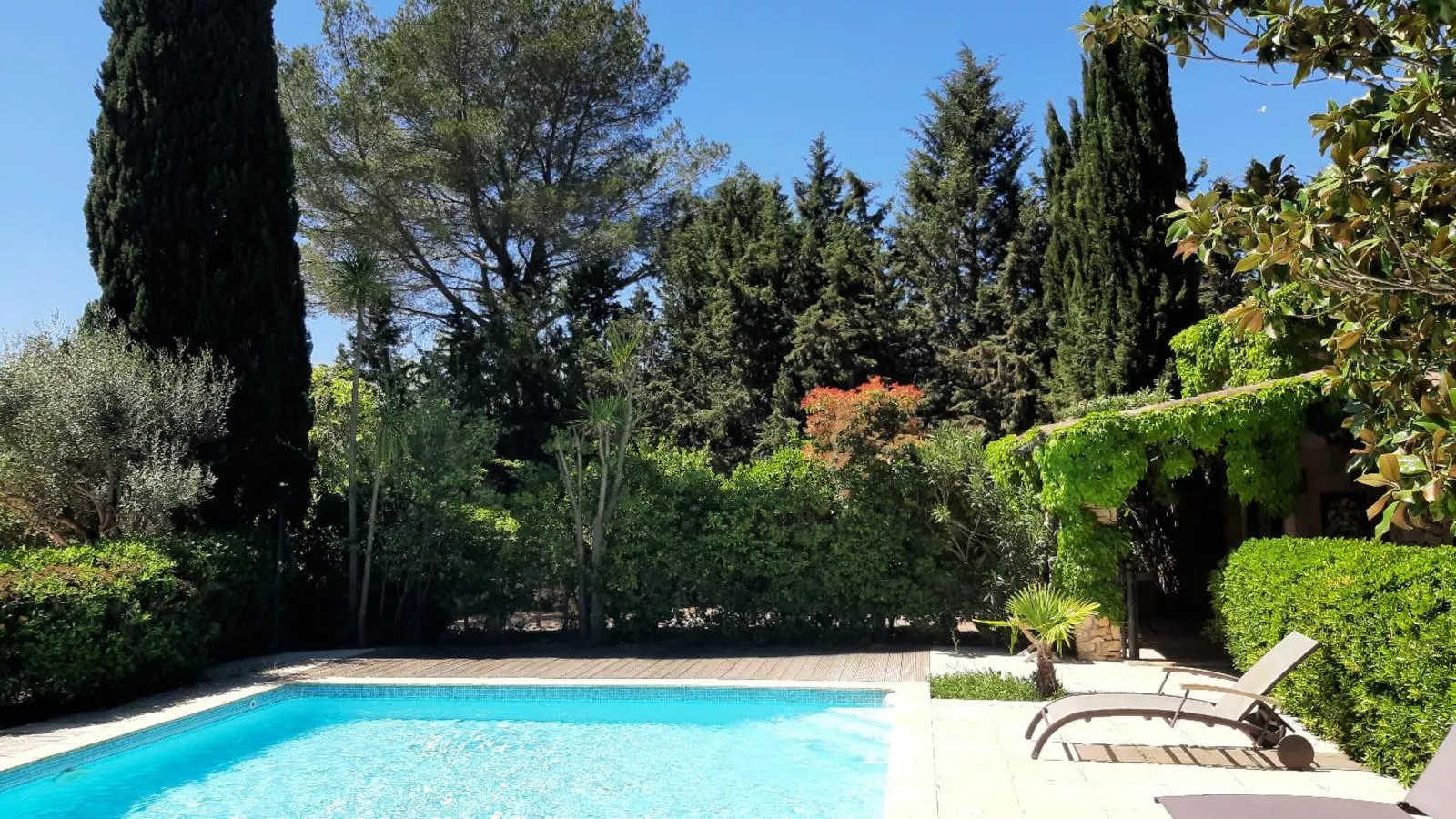 Butterfly-Pool