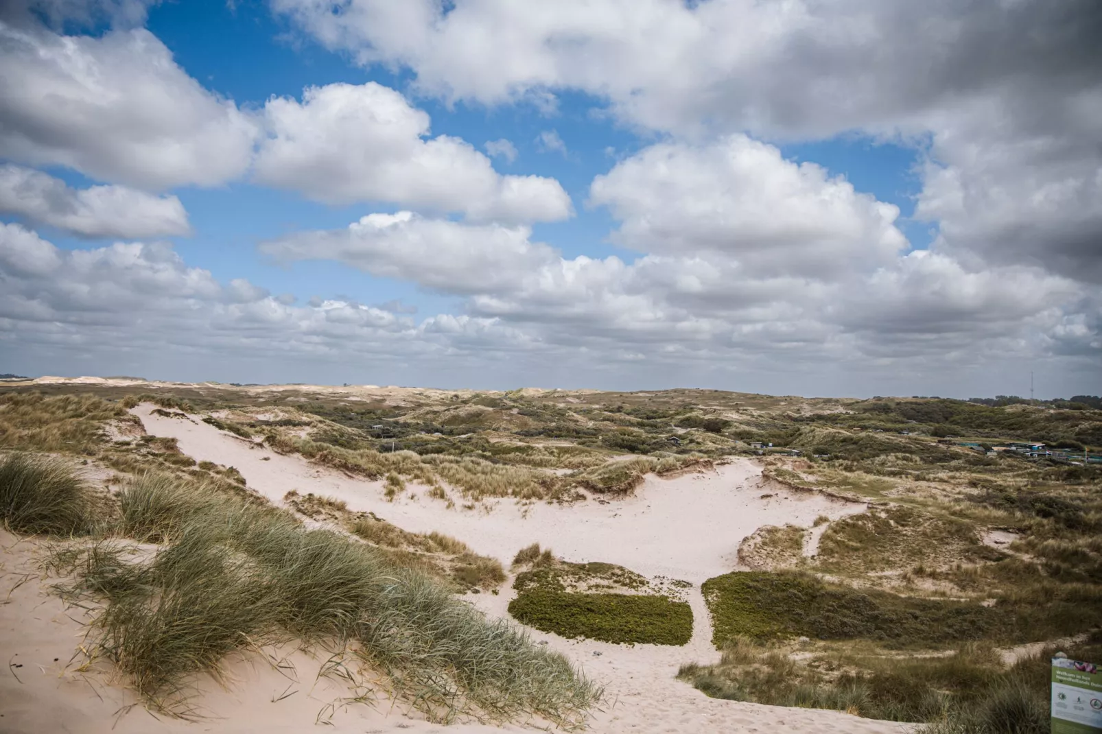 De ZeeParel Sea Crab-Areas summer 1km