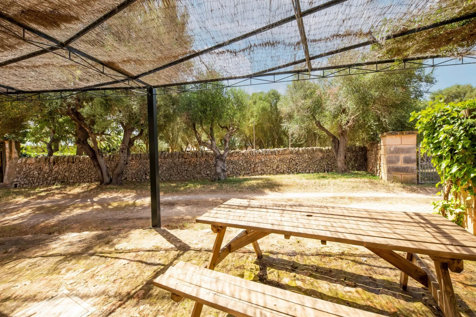 Casa del Pagès-Gardens summer