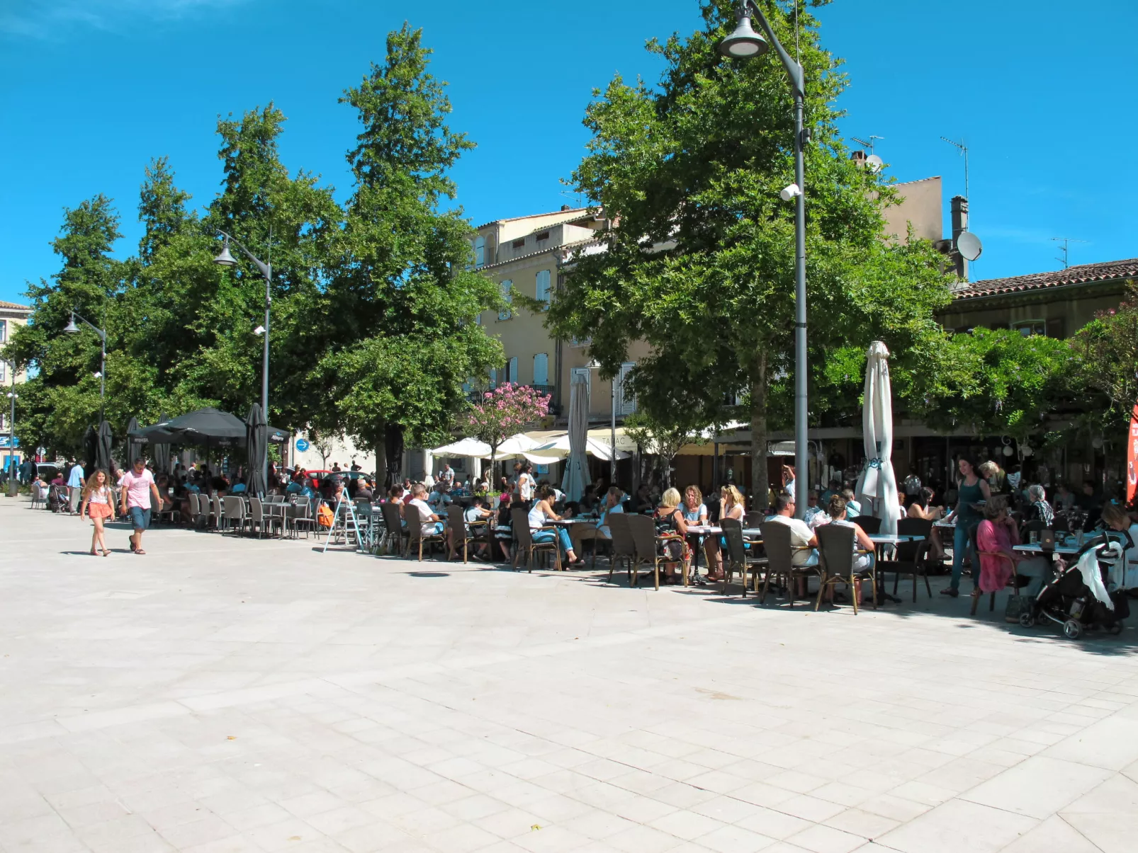 Les Lauriers Blancs-Area