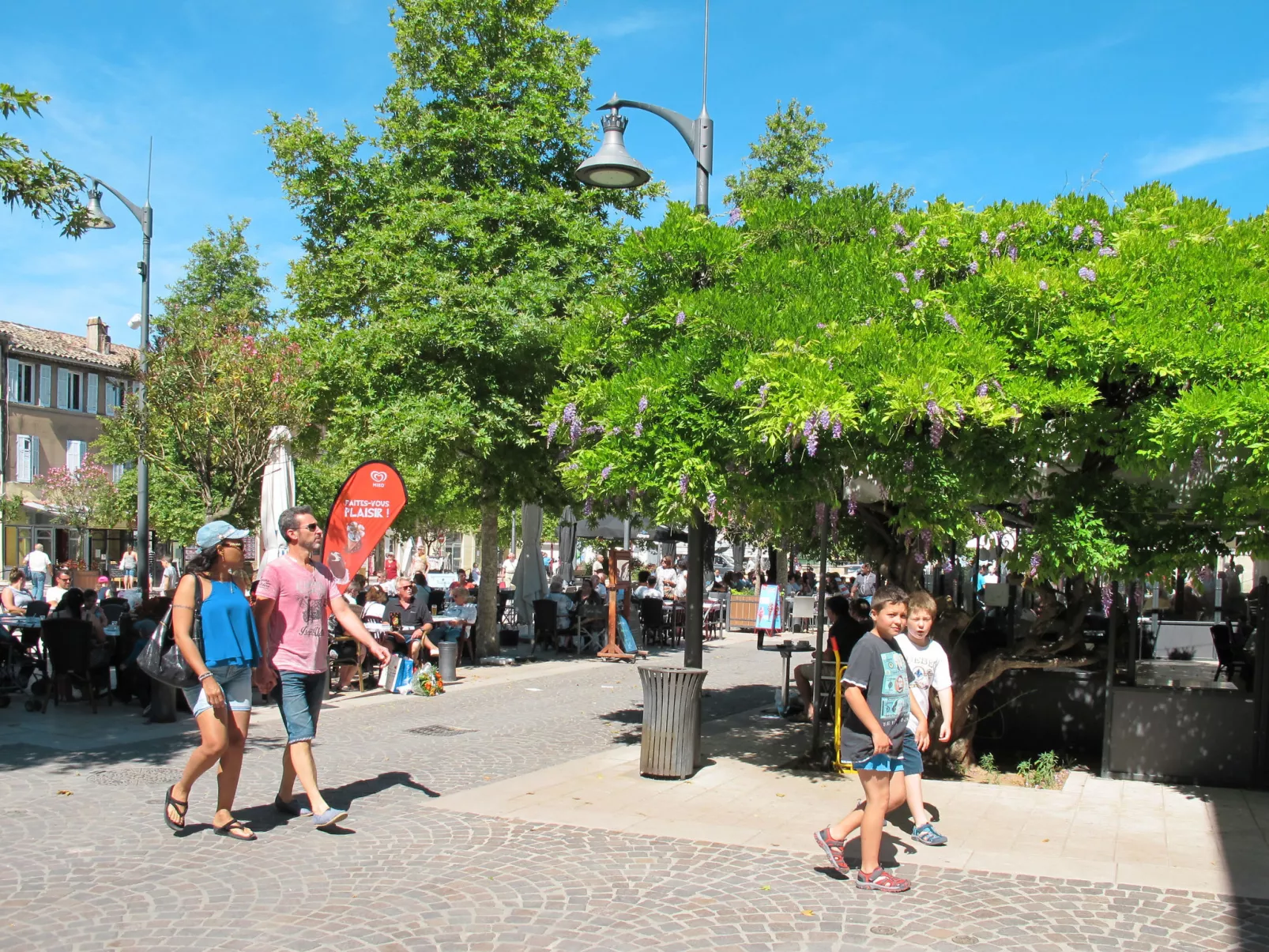 Les Lauriers Blancs-Area