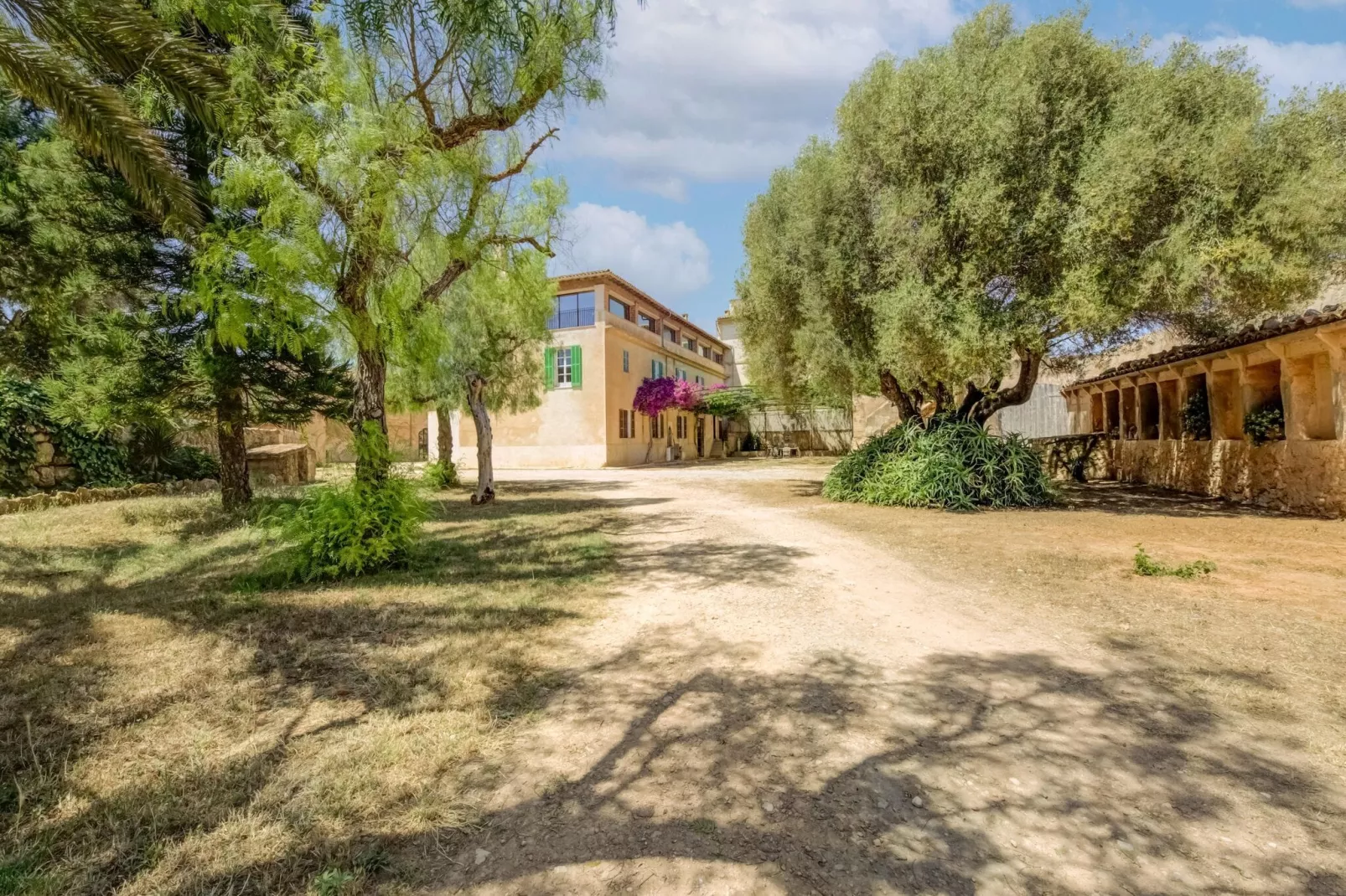 El Taller-Exterior summer