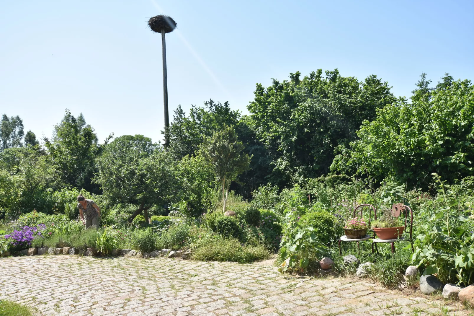 Familienferien Im Heumond  - 2 Schlafzimmer-Aussicht Sommer