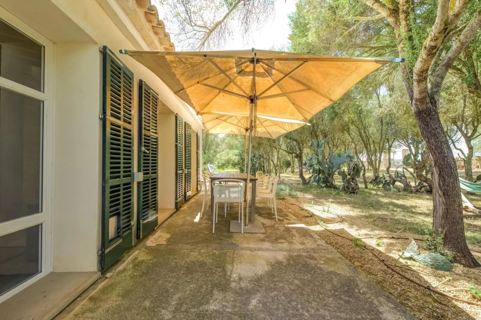 El Taller-Terrace balcony