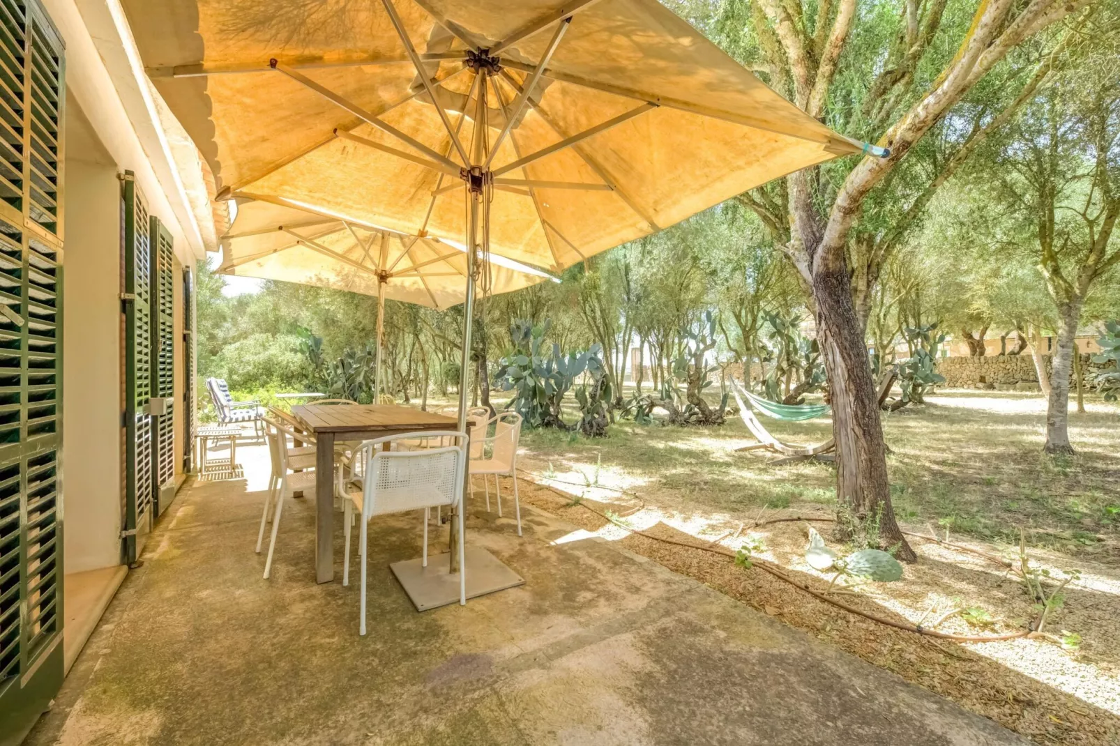 El Taller-Terrace balcony