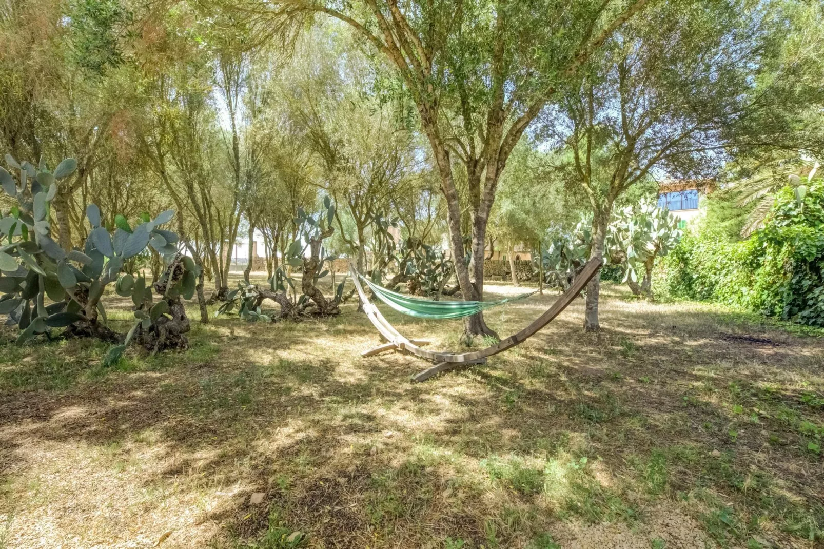 El Taller-Gardens summer