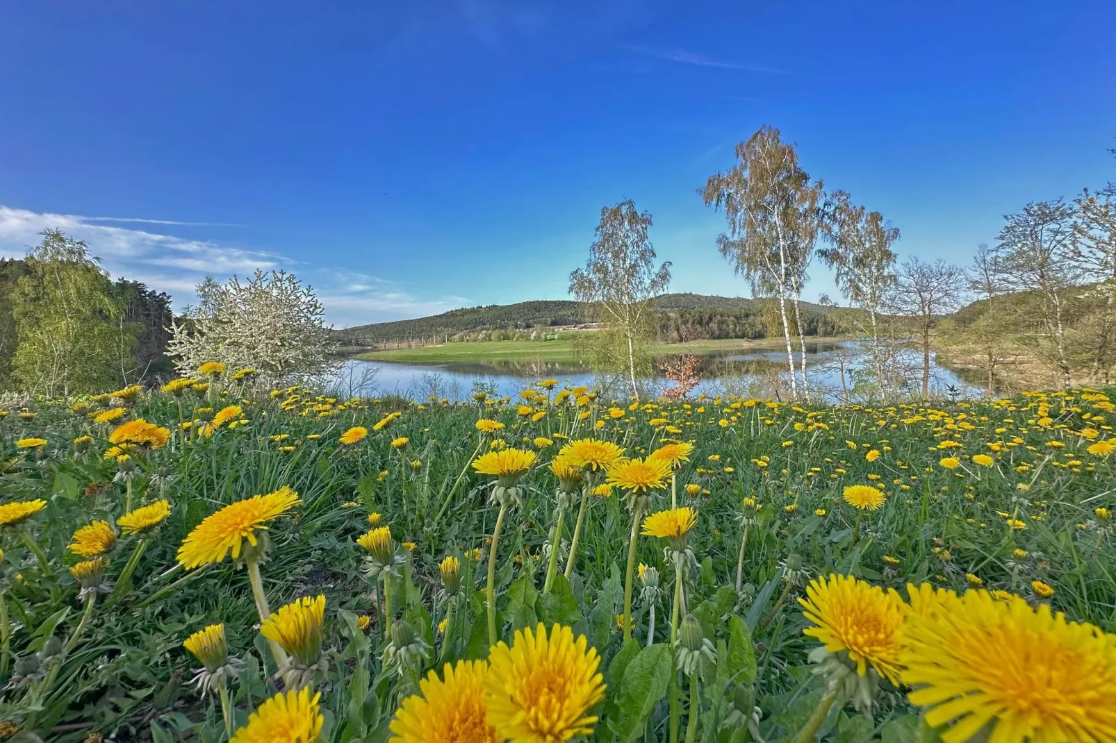 FERIENDORF SEEBLICK - Tiny Chalet am Eixendorfer See-View summer