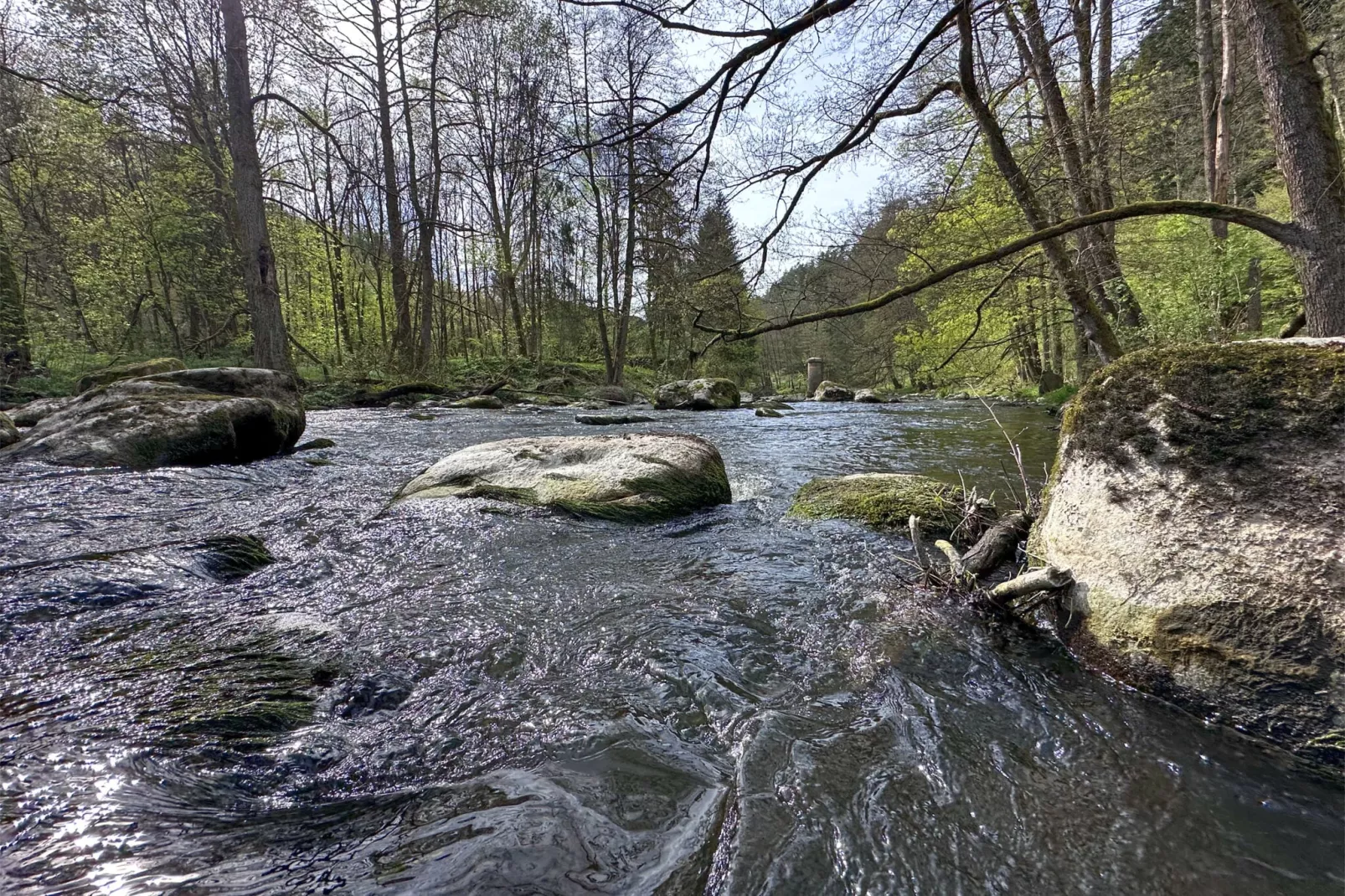 FERIENDORF SEEBLICK - Tiny Chalet am Eixendorfer See-Gebiete Sommer 5 km