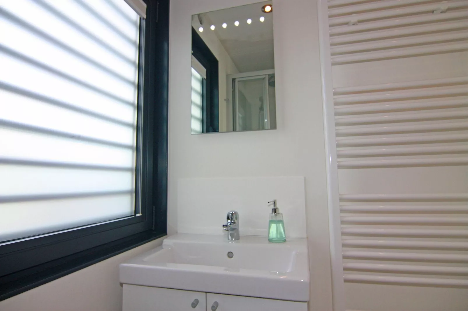 Houseboat Floating Houses Blue Active, Ribnitz-Damgarten-Blue Active-Bathroom