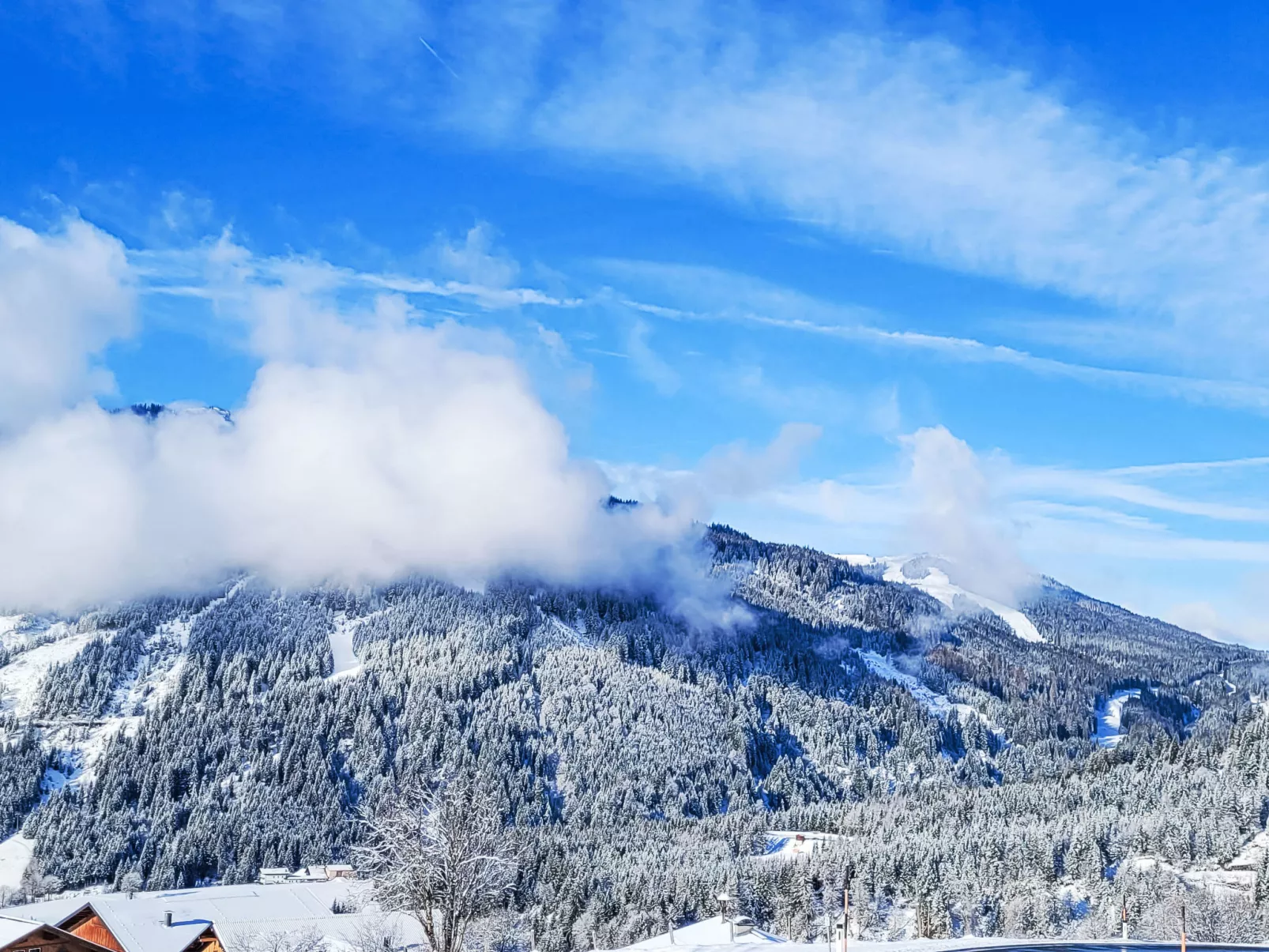 Top A45-Dehors