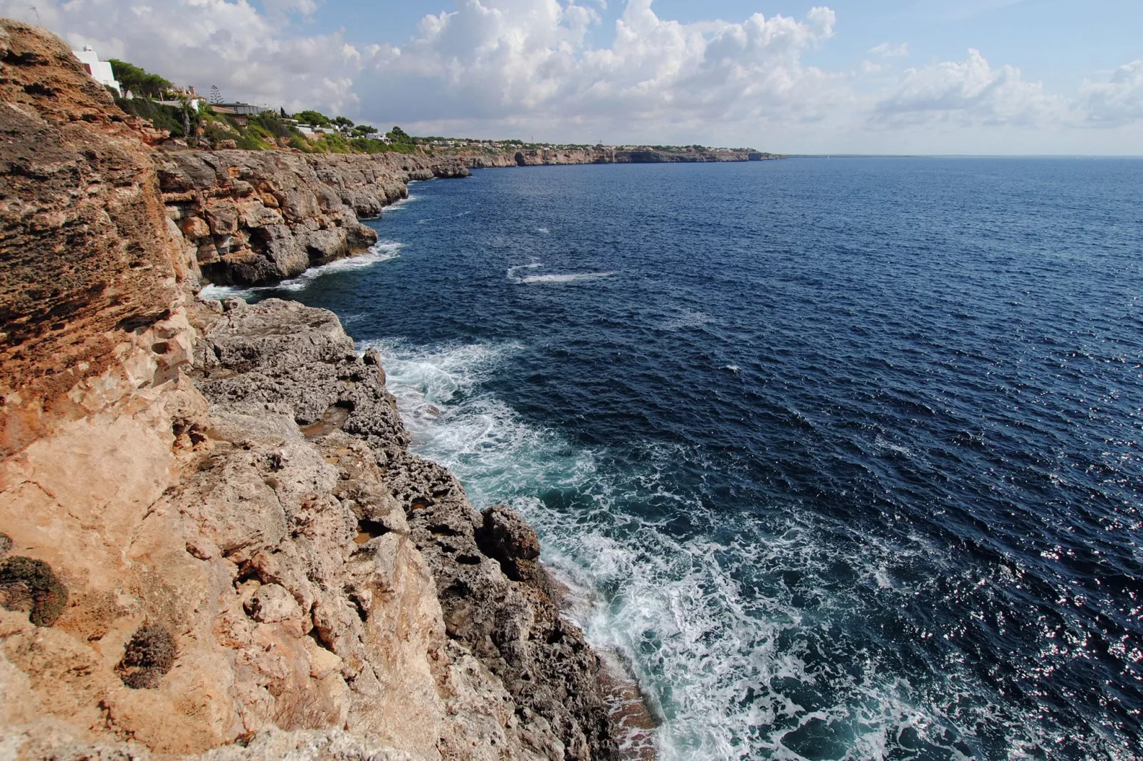 Stella Maris-Areas summer 1km