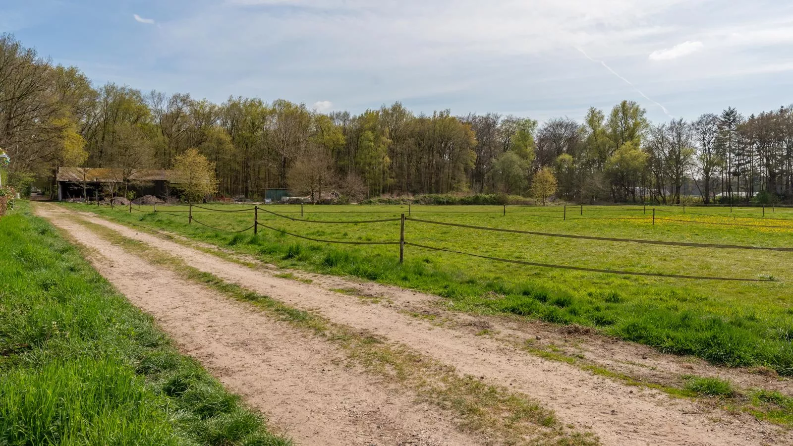 De Fazant-Areas summer 1km