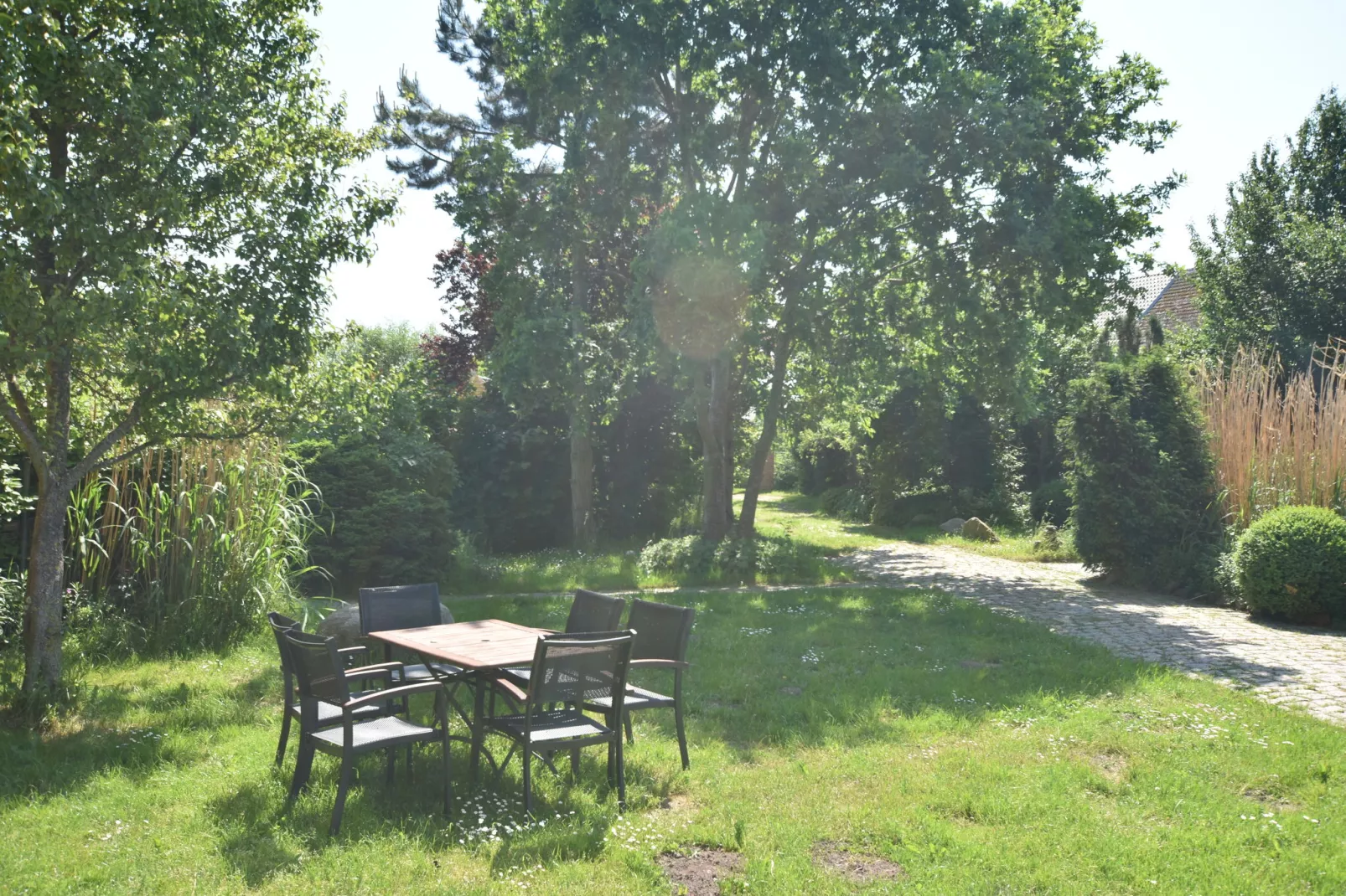 Die Besondere Ferienwohnung Bibliothek-Terrassenbalkon