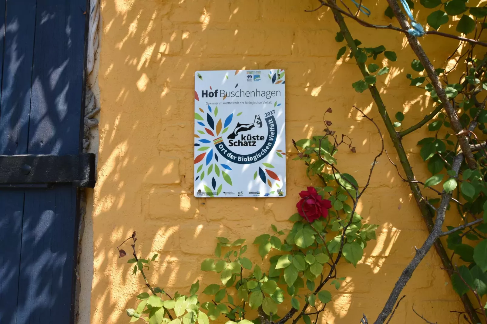 Die Besondere Ferienwohnung Bibliothek-Ambiente