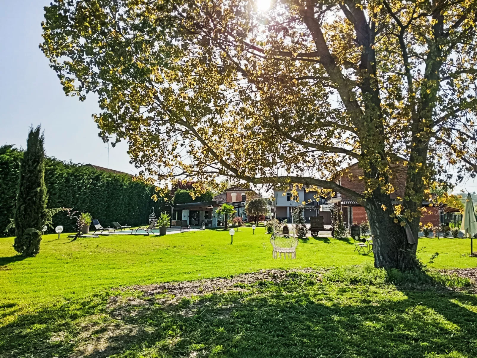 Viola-Dehors