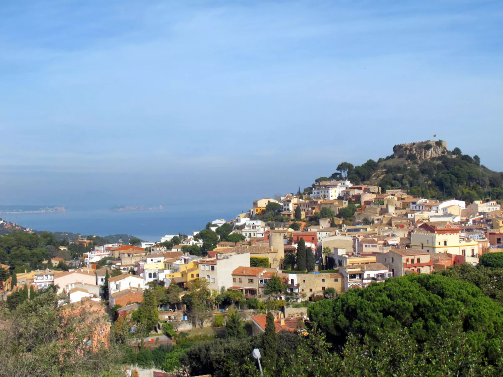 Vayreda-Area