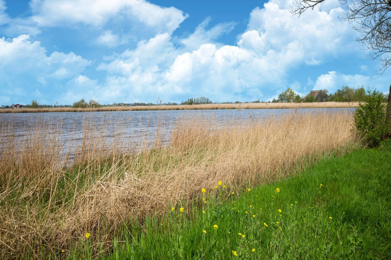 Tjongerzicht 3-Areas summer 1km