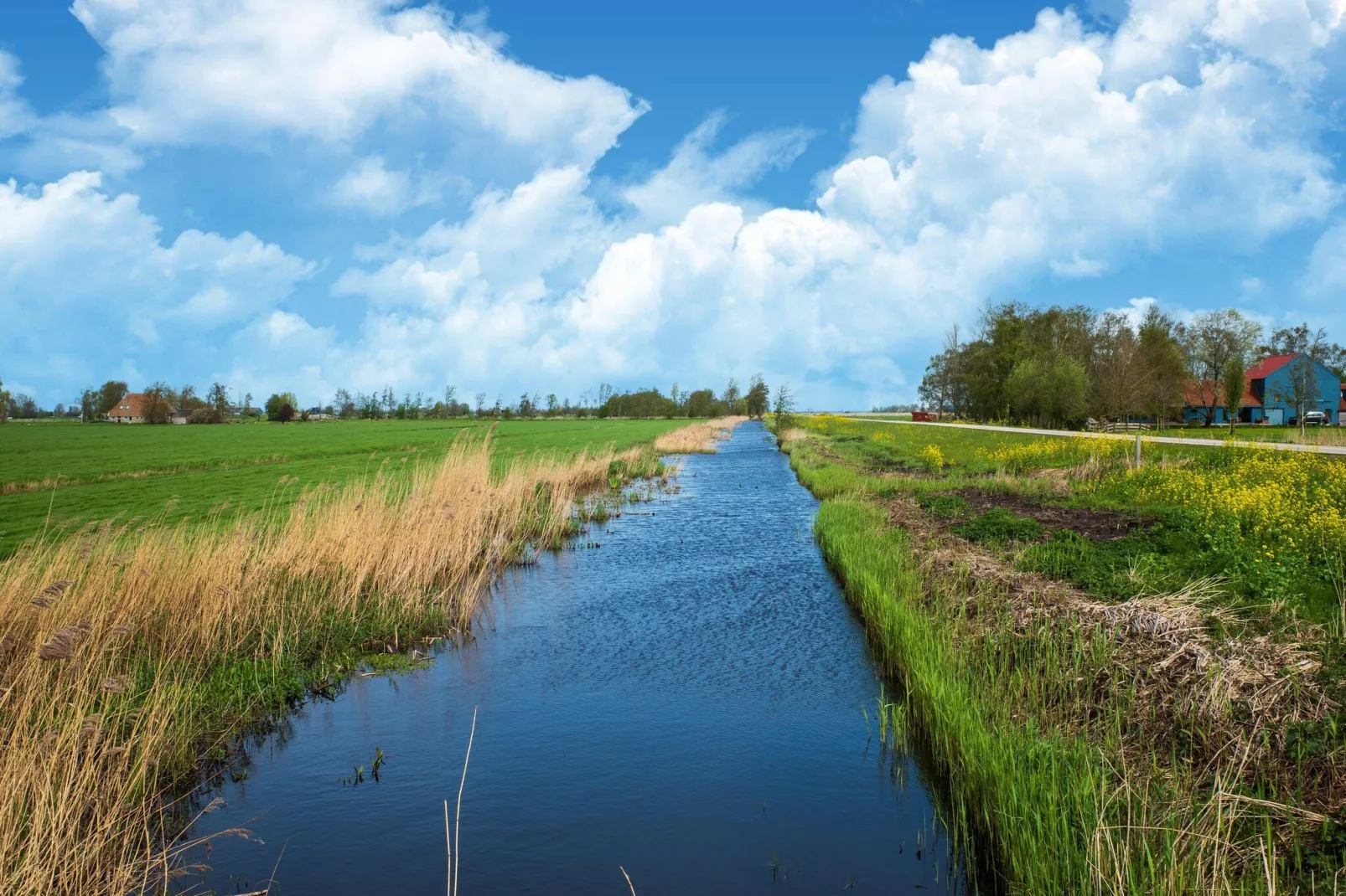 Tjongerzicht 3-Areas summer 5km