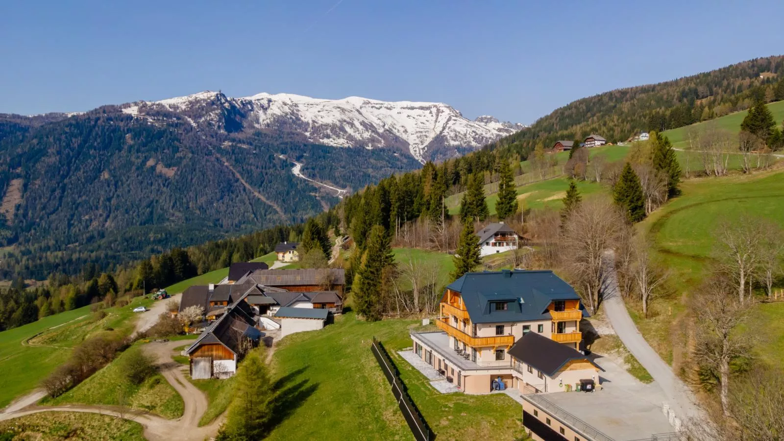 Lärchenhof Top 303-Exterior summer