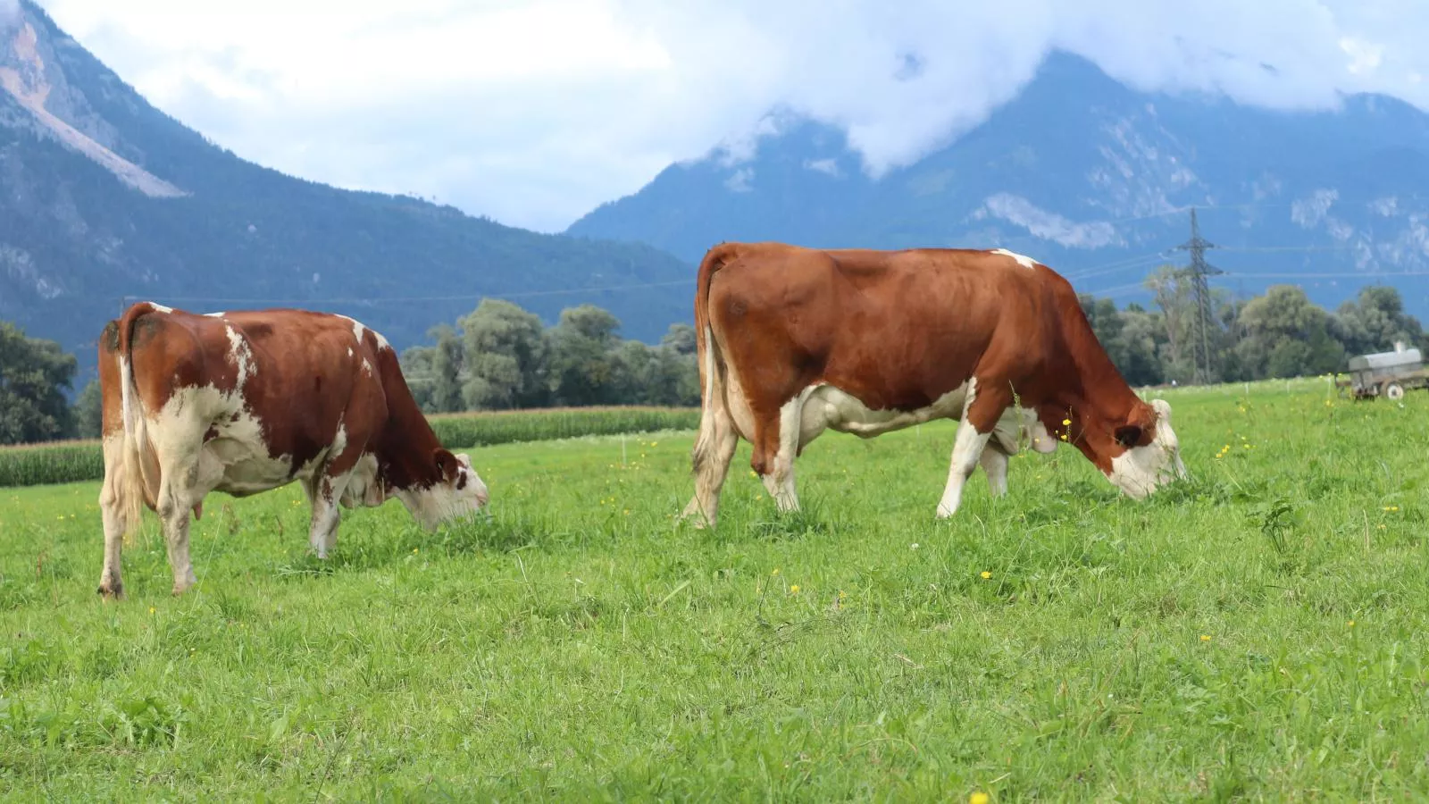 Schleicherhof III-Outdoor