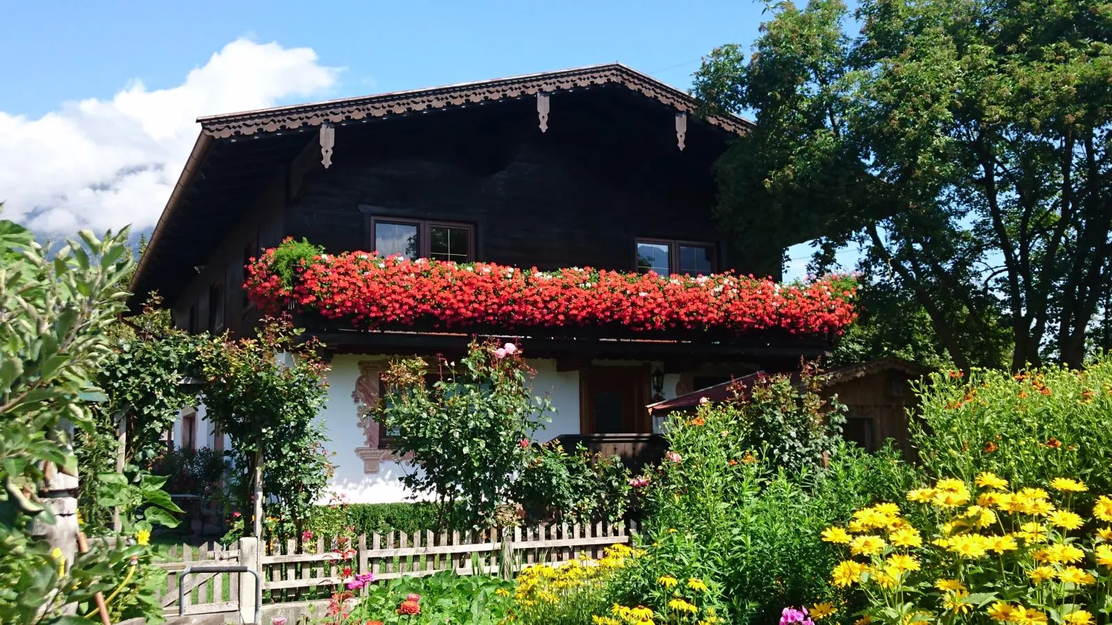 Schleicherhof IV