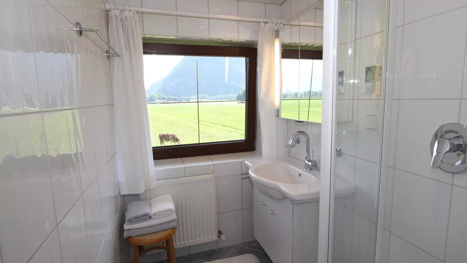 Schleicherhof IV-Bathroom