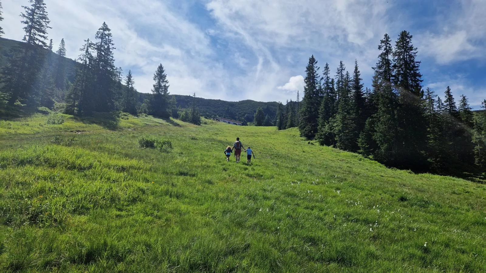 Chalet Amsel-Areas summer 5km