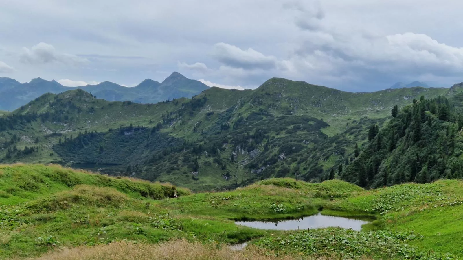 Chalet Amsel-Areas summer 5km