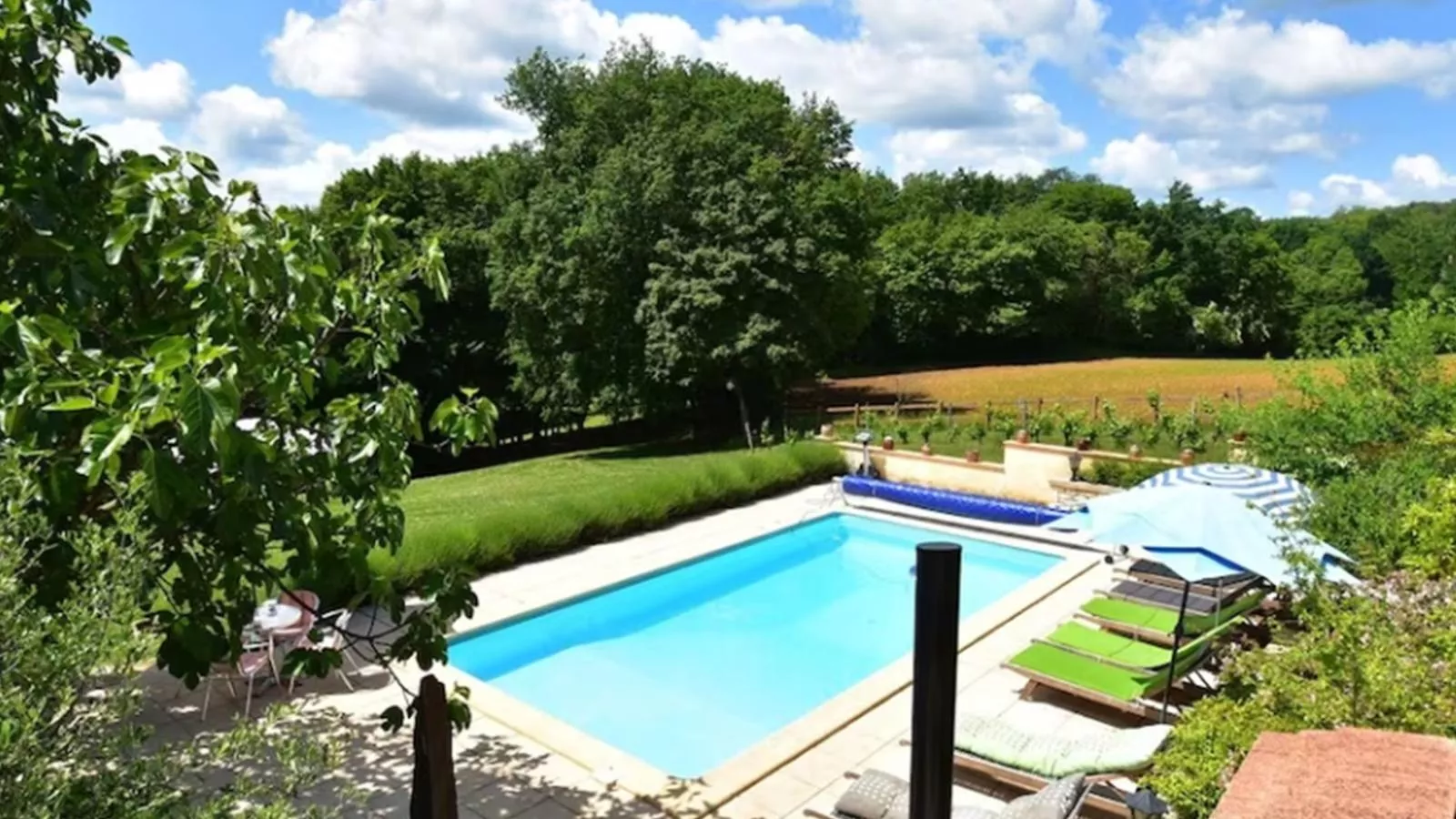 Maison Micouleaud-Pool