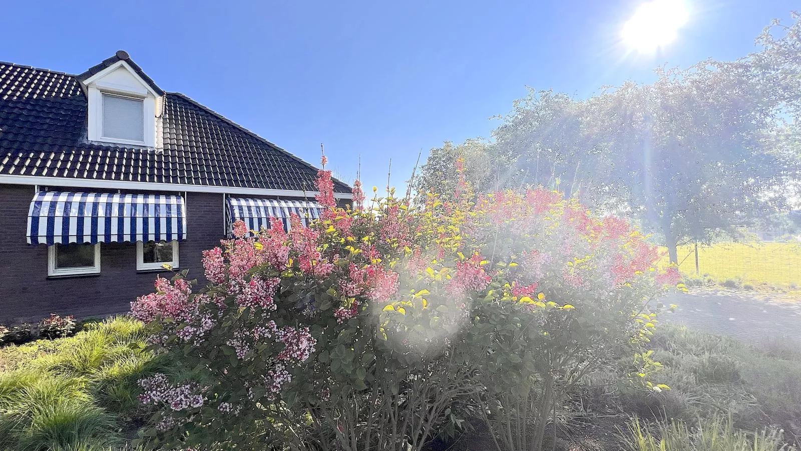 Het Edelhert-Exterior summer